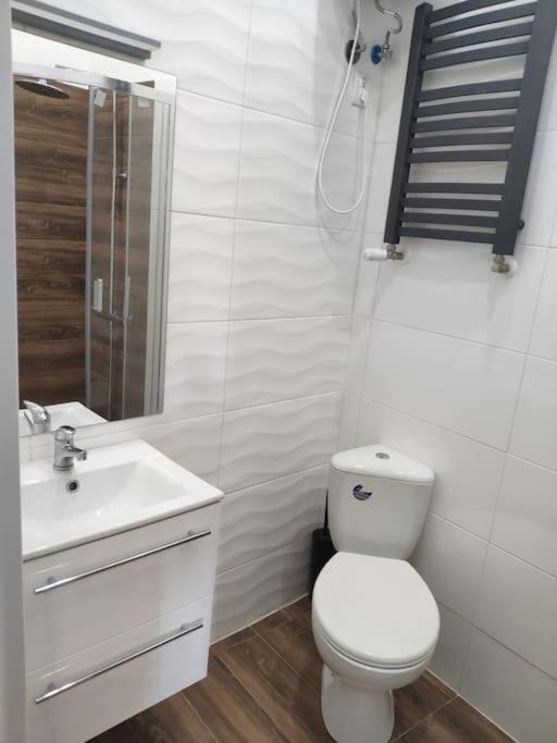 Apartmán Mieszkanie W Centrum Mariacka Katovice
